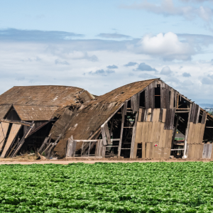 demolition-contractor-grants-pass